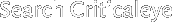 Search Criticaleye