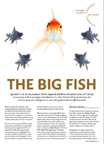 Click here to download this insight